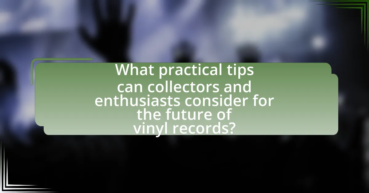 What practical tips can collectors and enthusiasts consider for the future of vinyl records?